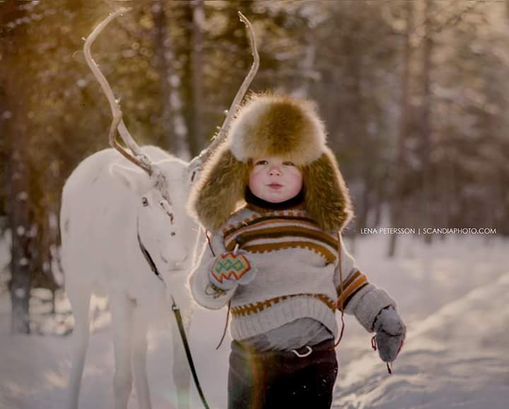 #workshopelenashumilova #lapland #reindeer #boy #same #fotografmalmö #portraiture #porträttfotograf #instaportrait #instagram #fotograf #fotografsweden #barn #barnfoto #barnfotograf #barnfotografering