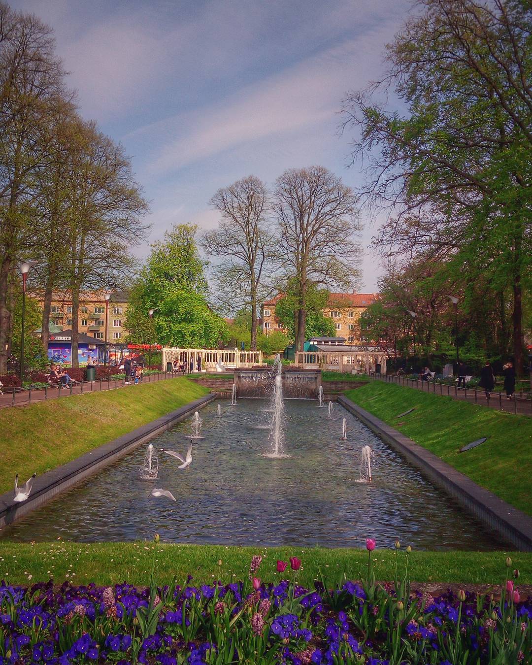 #phonesnap #phonography #park #fountain #urban #malmö #spring #sweden #snapseed #ulefonearmor #europe