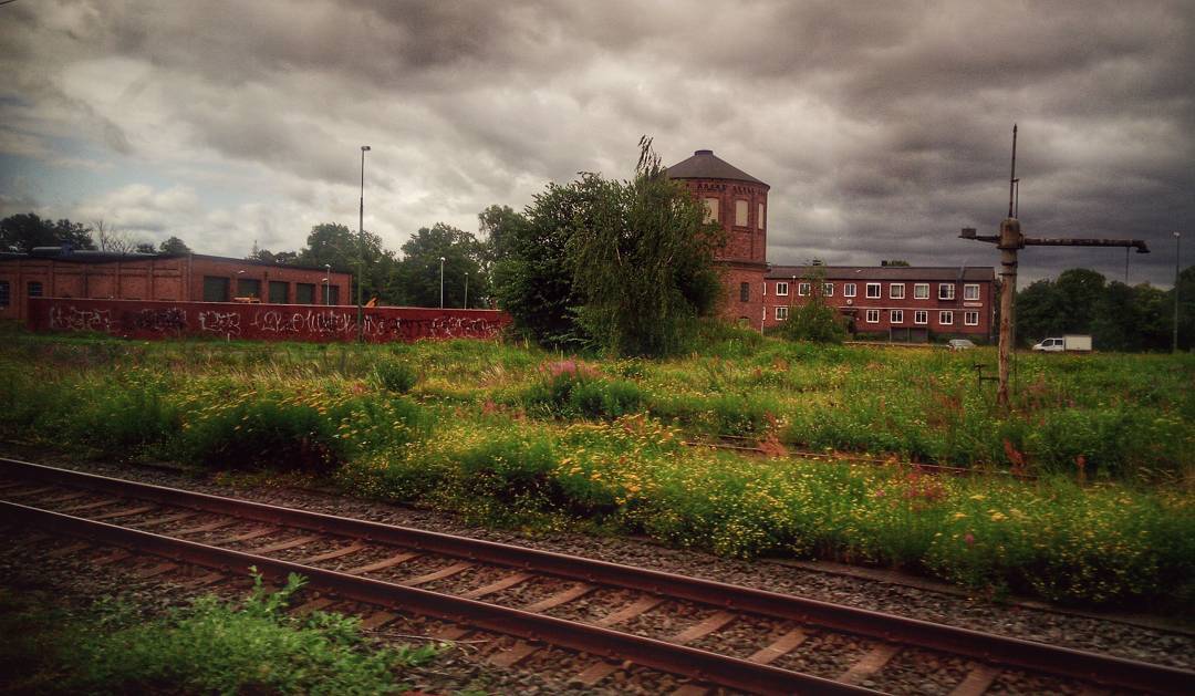 Shots from a train ride #trainride #phonesnap #phonography #phonegraphy #instatravel #ulefone #ulefonearmor #snapseed #traintracks #sweden #europe #brickbuilding #roadtripdiaries