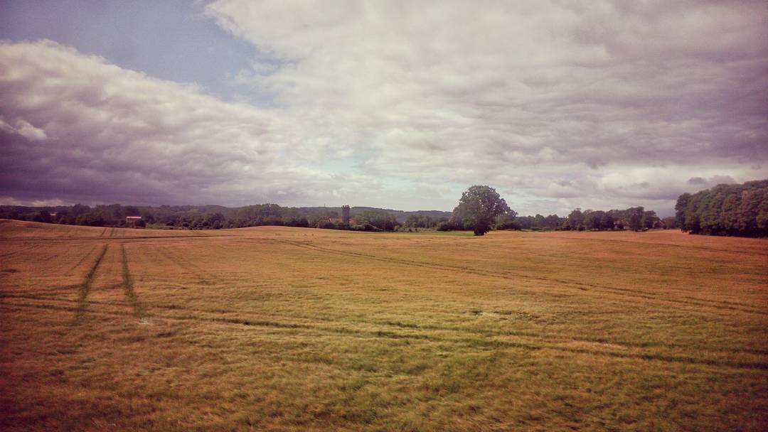 Sweden - summer fields #landscape #phonohraphy #phonegraphy #ulefone #ulefonearmor #sweden #rainview