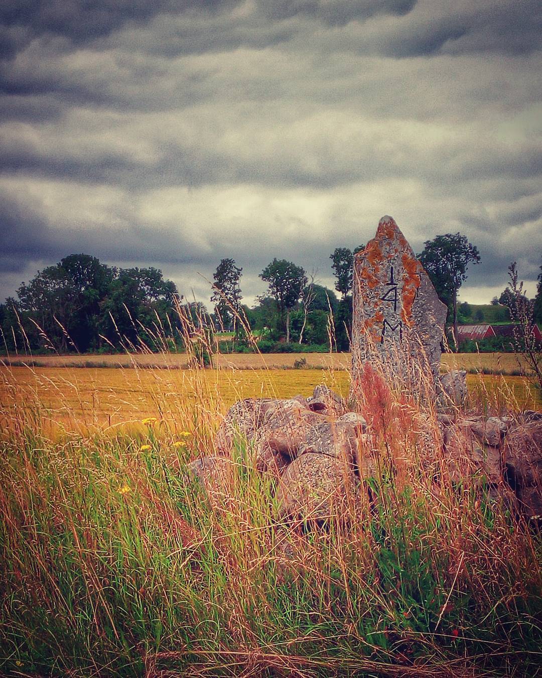 The old mile stone #milestone #phonograph #phonography? #phonegram #phonesnap #ulefone #ulefonearmor #instagram #instasnap #sweden #countryside