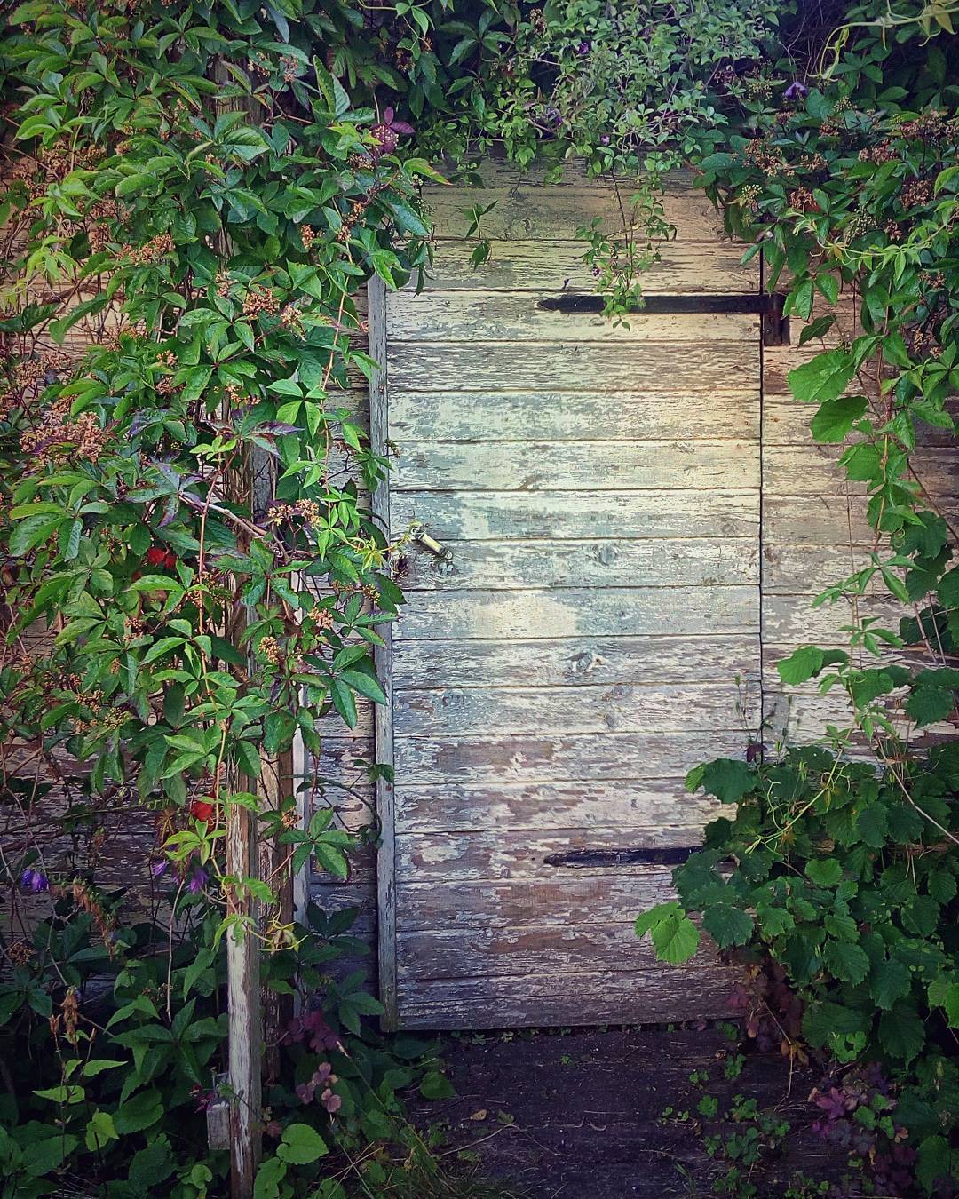The old tool shed #shabbychic #cottage