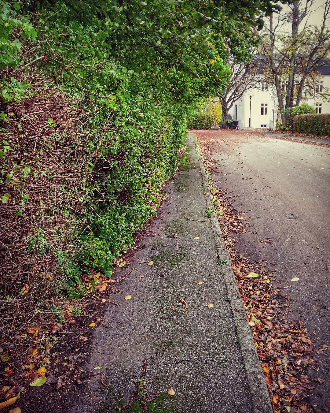 #autumn #october