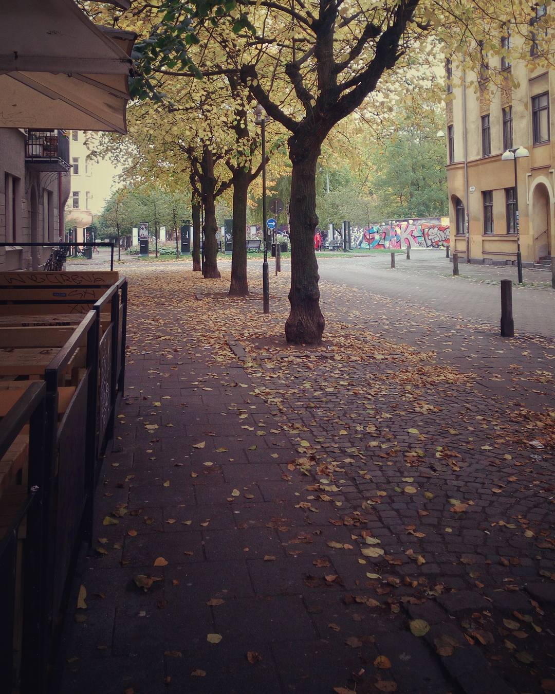 #fall #street #autumn #urban #tree #europe #malmö #sweden