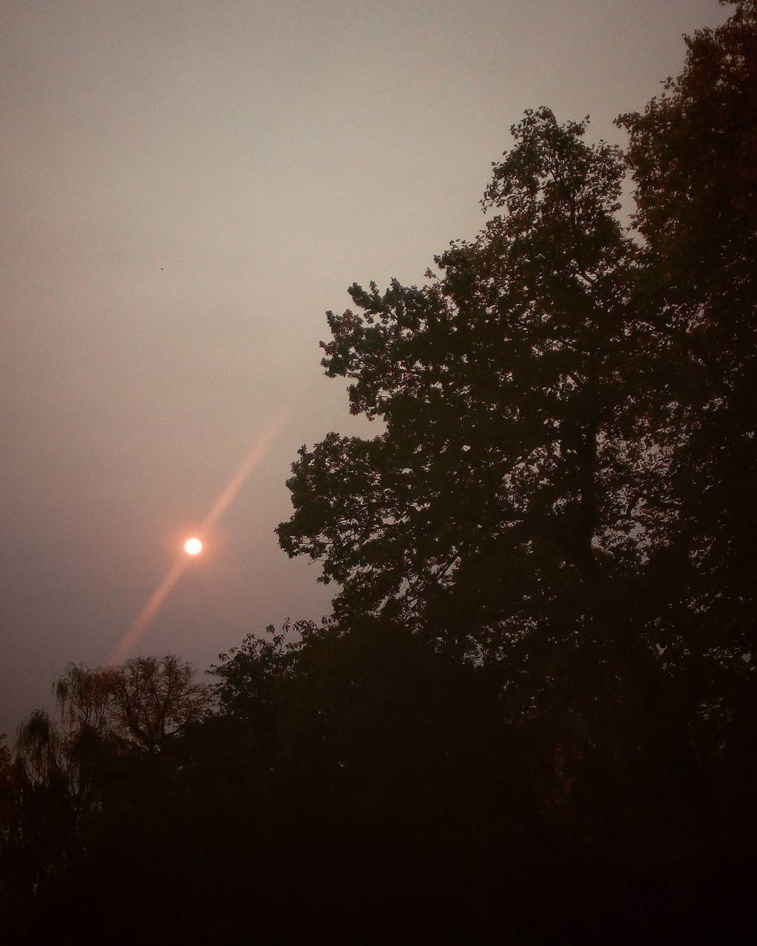 #theshadedsun #sky #sun #redsun #skyphenomenon #sunphenomenon #sunsweden #sweden #phonesnap