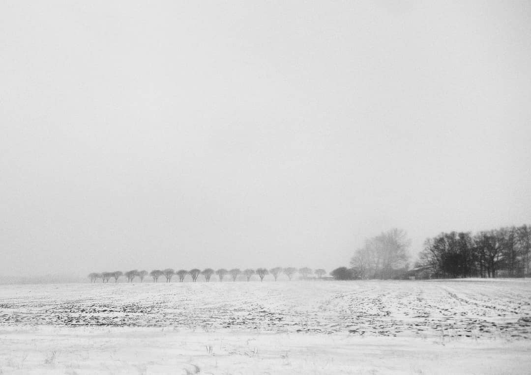 #alley #iconicwhite #winter #noiretblanc #blackandwhite #landscape #minimalism #snow #field #tree