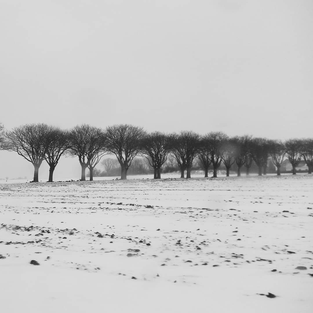 #winter #noiretblanc #landscape #landscapephotography #blackandwhite #snow #trees #field #phonography #ulefonearmor