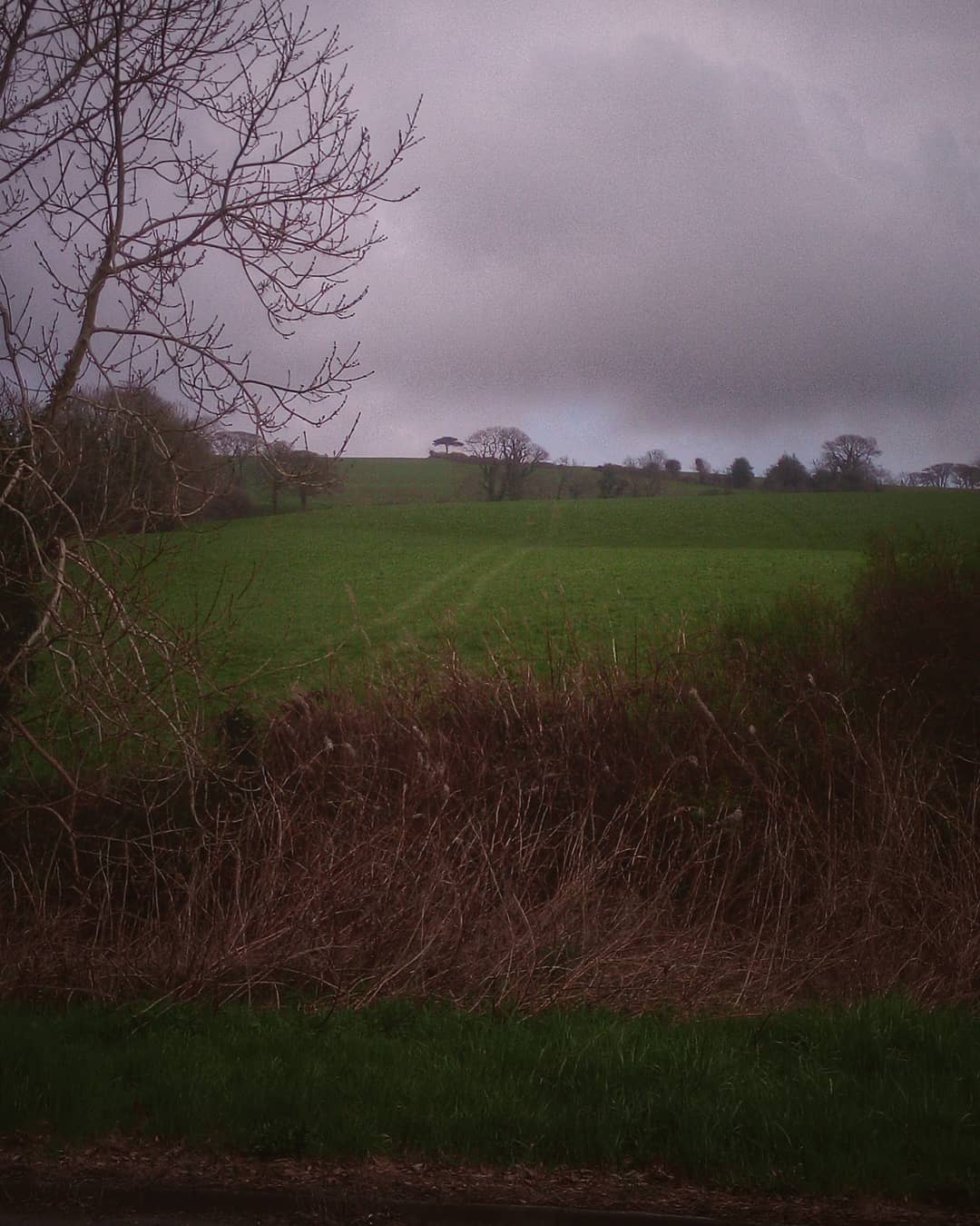 #greenfield #ireland #landscape #phonography #ulefonearmor