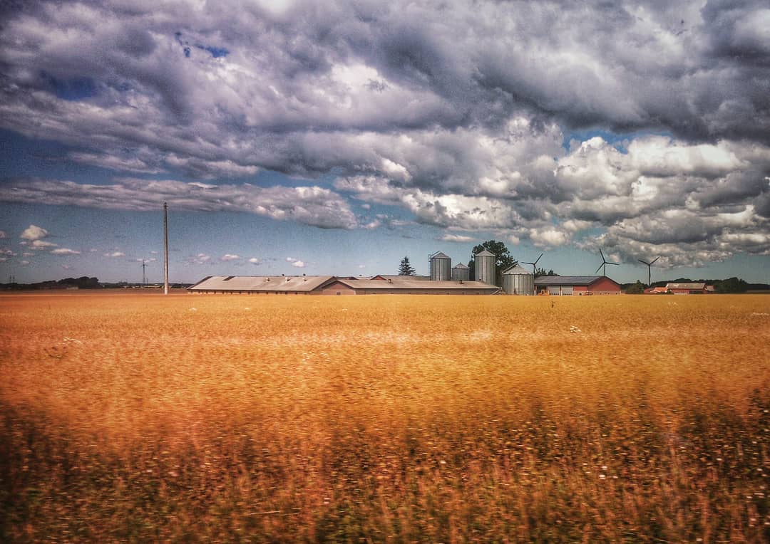 #viewfromtrain #travel #trainride #field #europe #phonography #ulefonearmor #snapseed #trainridepics #trainsnaps #trainrides #boombastic