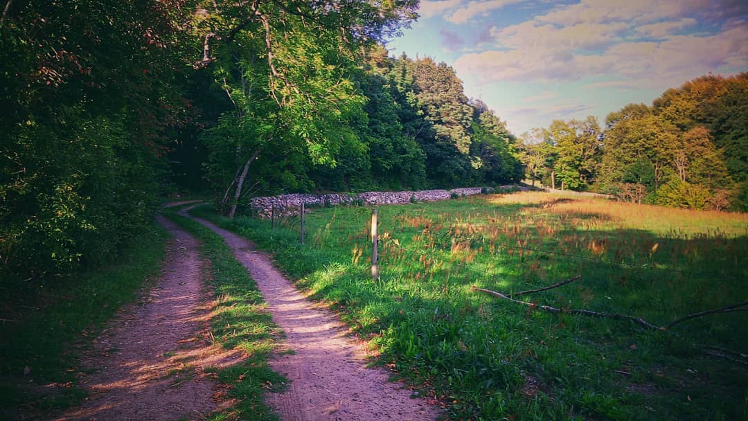 #country #countryroads #endofsummer #summer #greenfield #phonography #ulefonearmor
