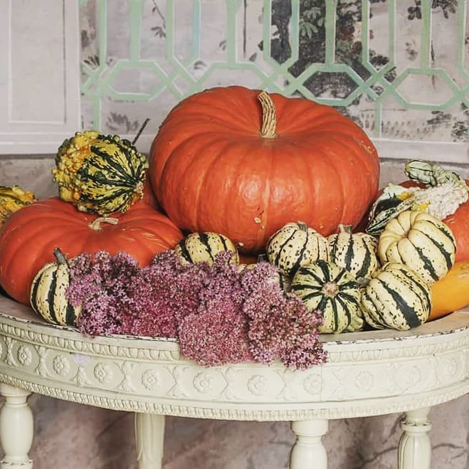 #autumn #fall #ig_autumn #pumpkin #pumpkins #flowersofinstagram #flower #bestoftheday #bestflowerspics #bestautumn #season #stillife #orange