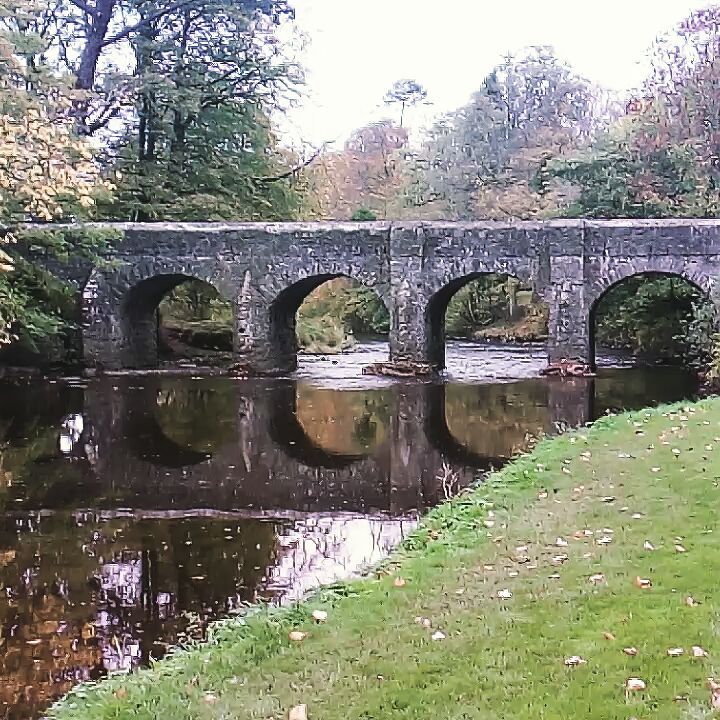#antrim #antrimcastlegardens #bridge #northireland #phonography