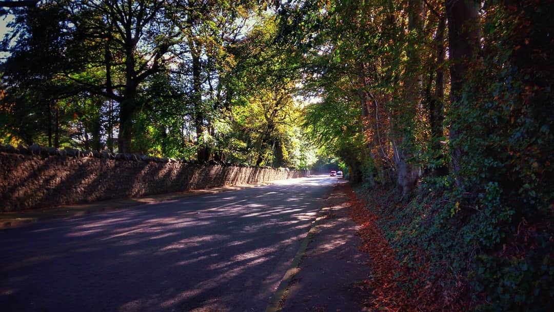 #phonography #uppermaloneroad #belfast #autumn #fall #roads