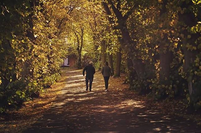 #waterworks #park #fall #autumn #belfast #documentbelfast