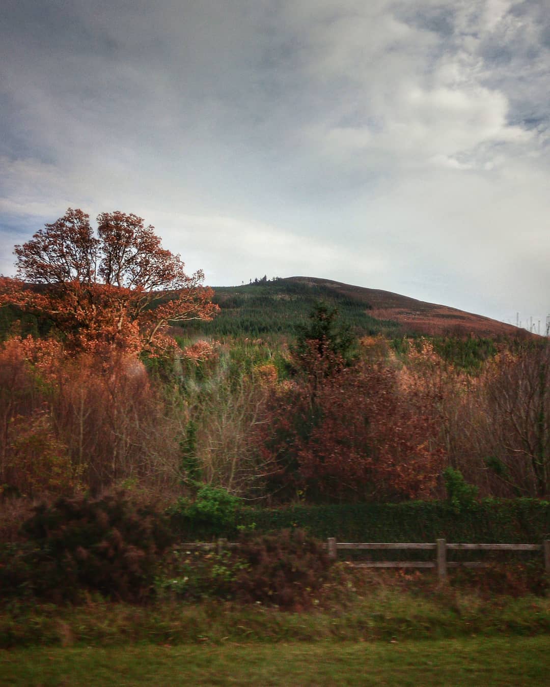 #ireland #fall