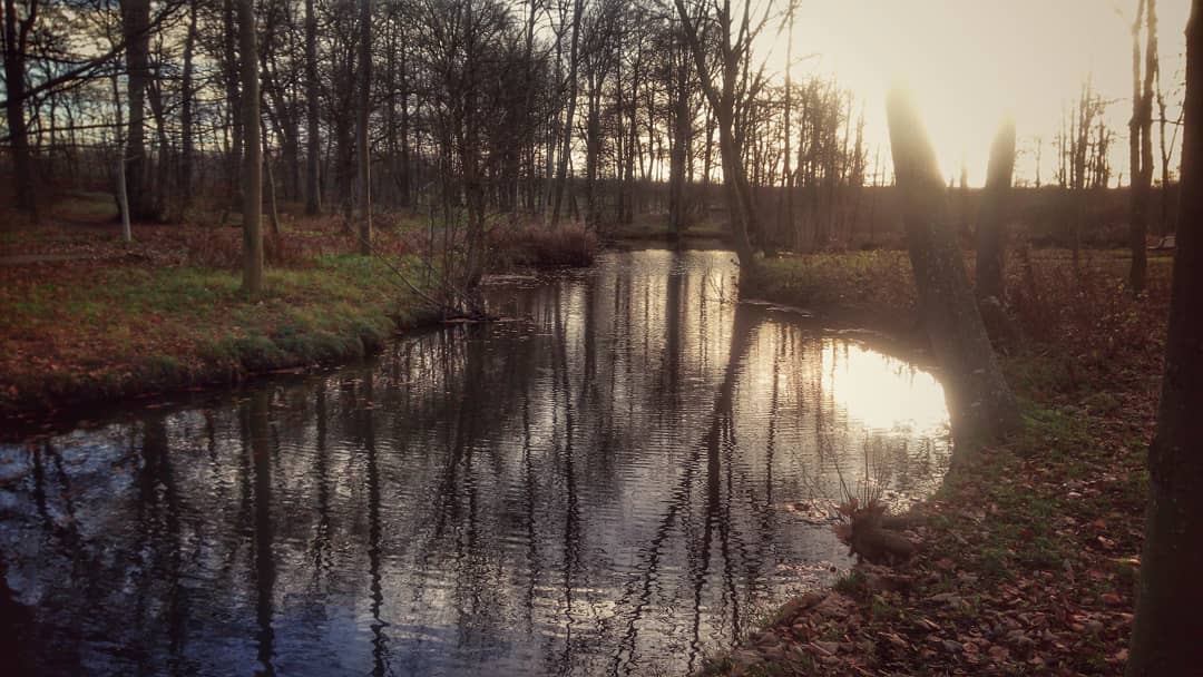 #river #forest #nature #naturephotography #naturelovers #winter #phonography