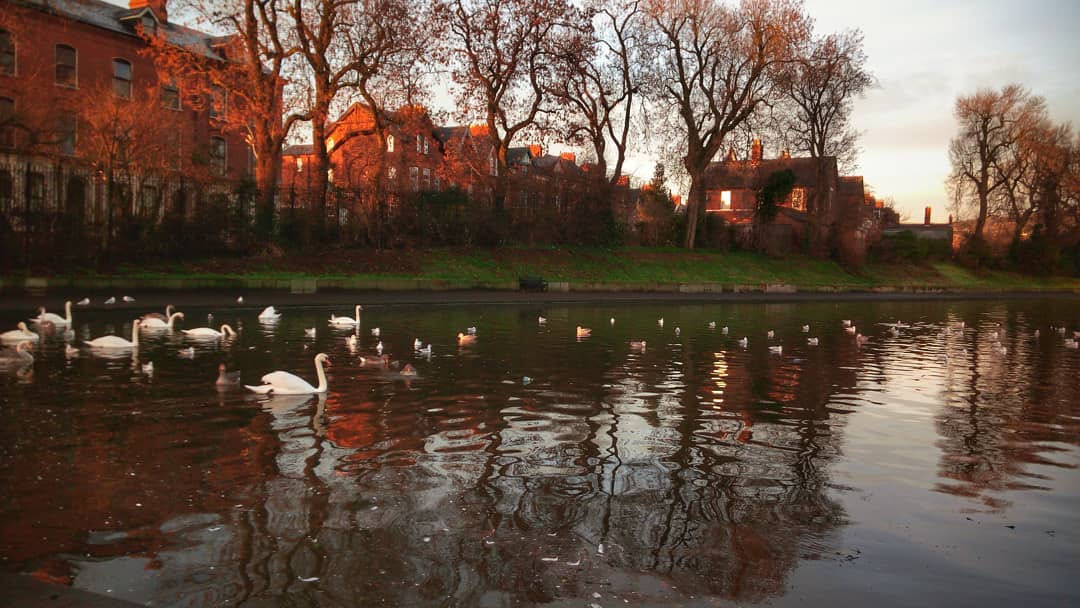 #waterworks #waterworksbelfast #sunrise#pond#swanlake #goodmorning #europe #winternosnow #uk #phonography #ulefonearmor #ourhome