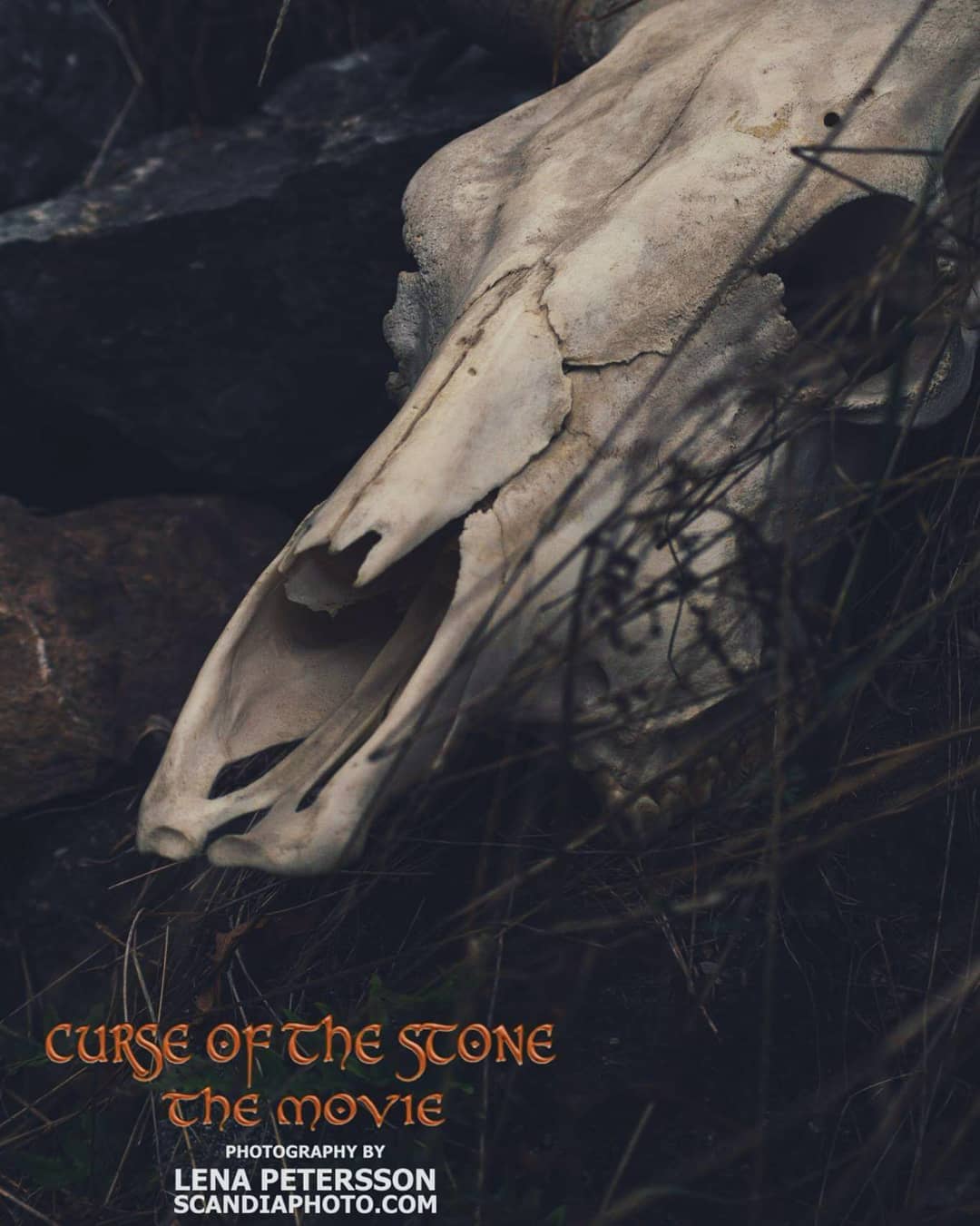 #stilllife #movie #movieset #movies #movieprops #skull #sweden #taxidermy #film #filmproduktion #movieproduction #curseofthestone #photography and #videography by @scandiaphoto #producer @curseofthestone #saricproduktion @milan9343 @gordanamarjanovic #location @malmö #fantasymovie