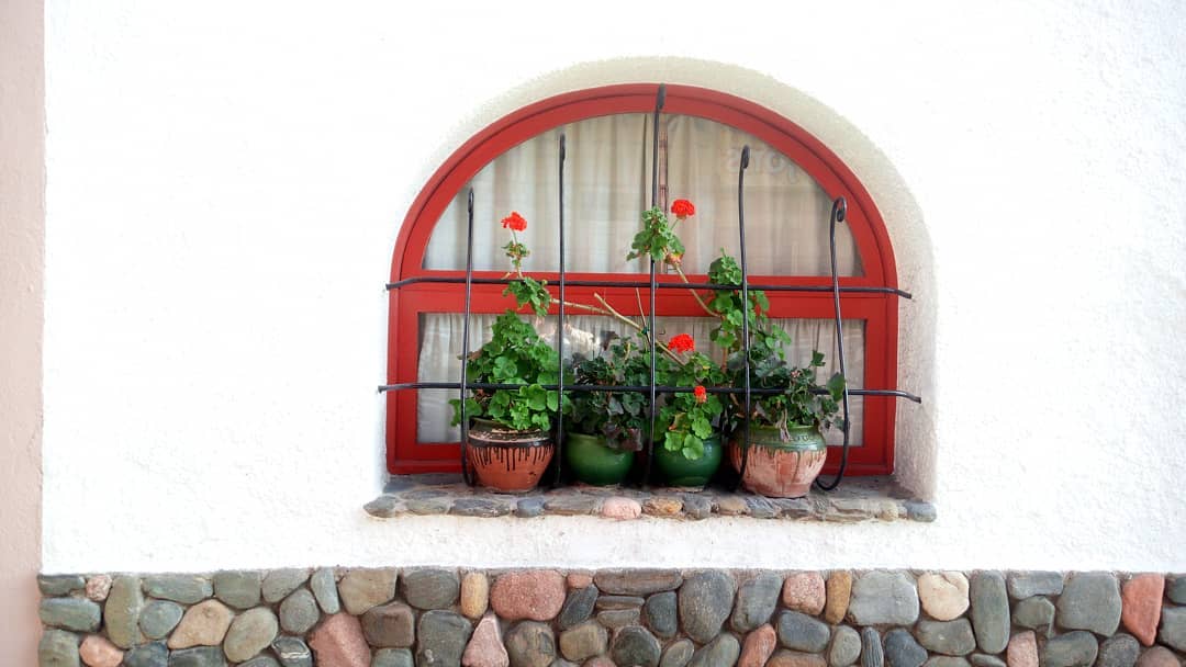 #window #windowflowers #sooc #phonography #ulefonearmor #malgratdemar #spain