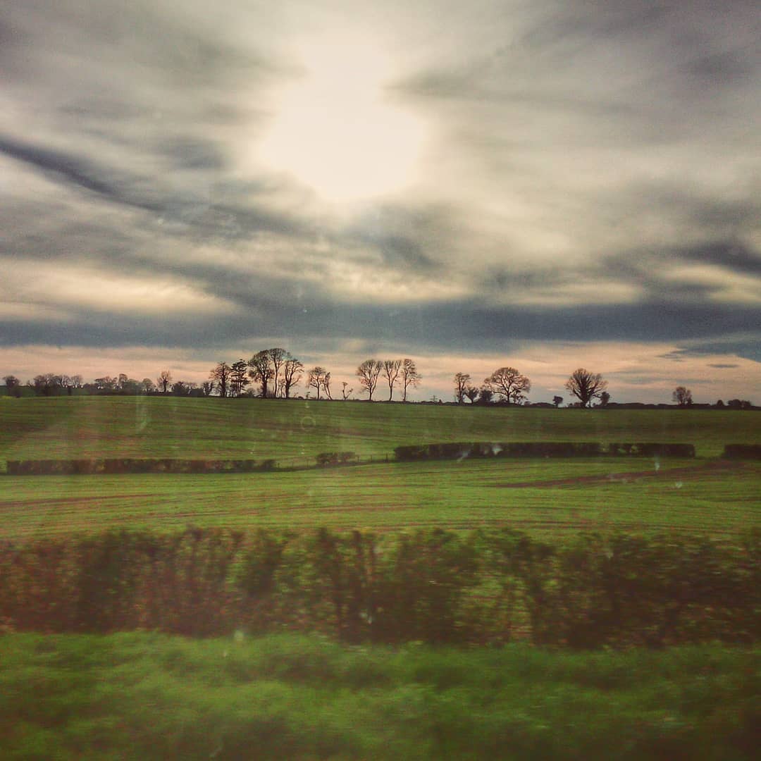 #driveandshoot #bussride #busride #ireland #field #trees #greenfield