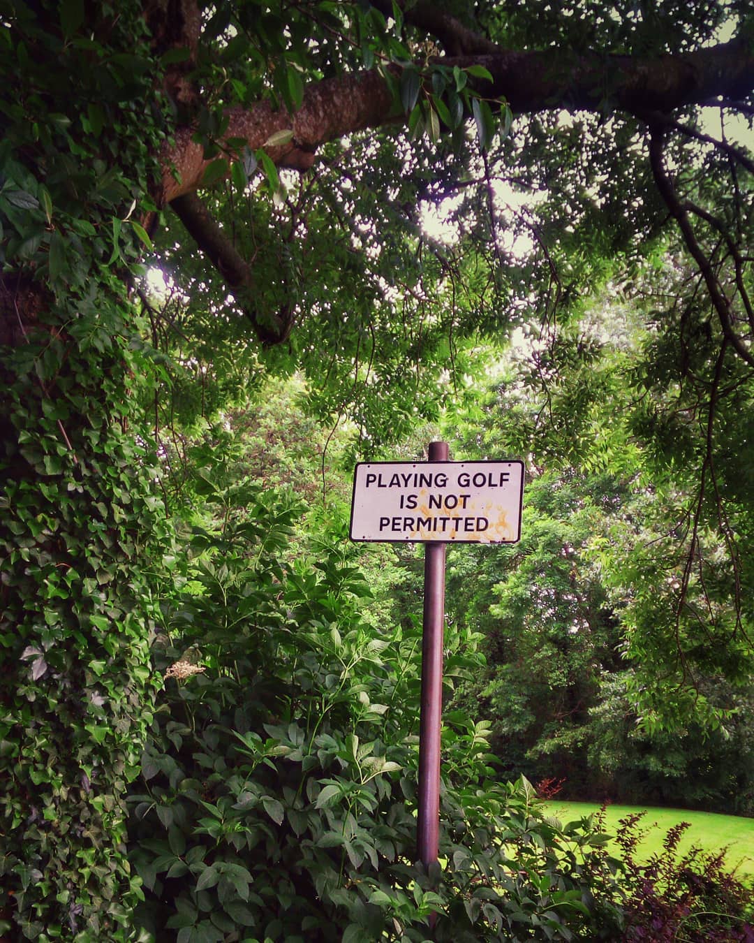 #signs #signspotting #thanksgod? #parklife