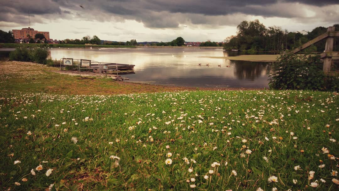 #waterworksbelfast #water #naturephotography #nature #bestoftheday #bestofinstagram #belfastwaterworks #belfast #northernireland #phonography #ulefonearmor #ulefone