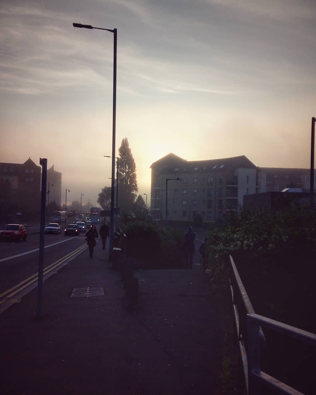 #morningfog